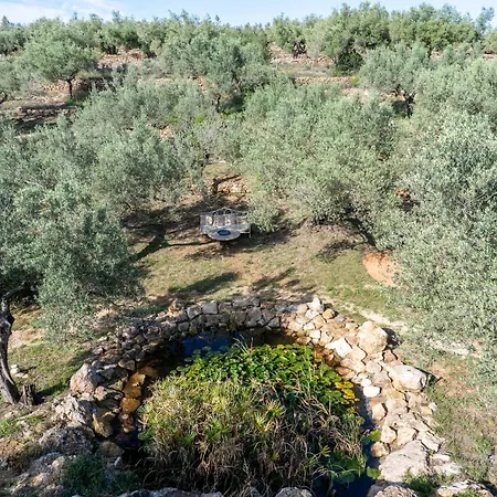 Yurta Mongola Delta Del Ebro