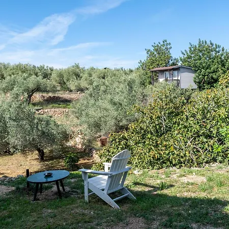 Yurta Mongola Delta Del Ebro Camping Camarles