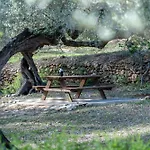 Yurta Mongola Delta Del Ebro Camarles