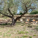 Yurta Mongola Delta Del Ebro * Camarles