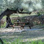 Yurta Mongola Delta Del Ebro Camarles