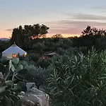 Yurta Mongola Delta Del Ebro אתר קמפינג Camarles