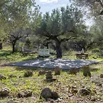 אתר קמפינג Yurta Mongola Delta Del Ebro