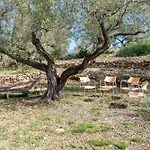 אתר קמפינג Yurta Mongola Delta Del Ebro *