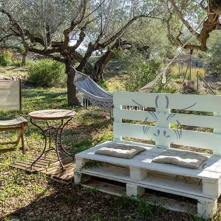 Camping Yurta Mongola Delta Del Ebro *