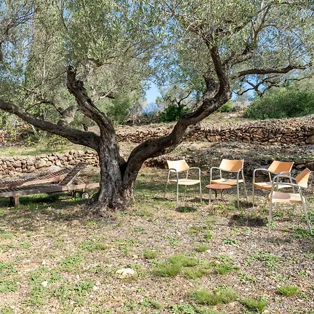 Yurta Mongola Delta Del Ebro * Camarles