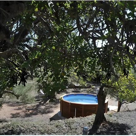 Yurta Mongola Delta Del Ebro Camping *