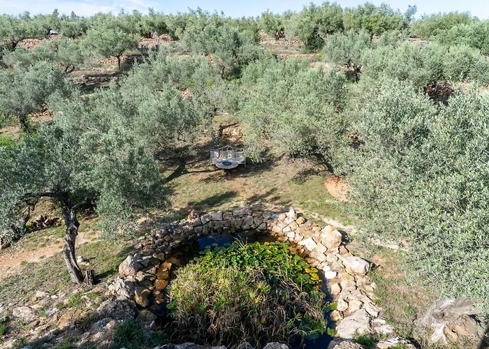 Yurta Mongola Delta Del Ebro