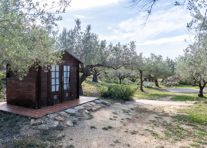 Yurta Mongola Delta Del Ebro Camarles