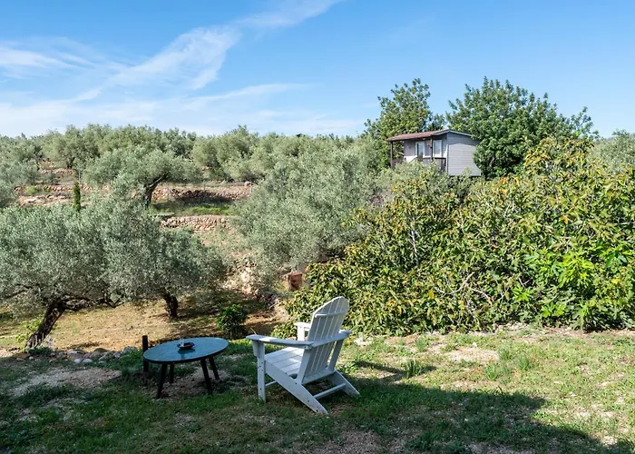 Yurta Mongola Delta Del Ebro Camping Camarles