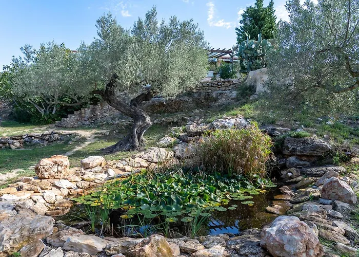 Yurta Mongola Delta Del Ebro Camarles