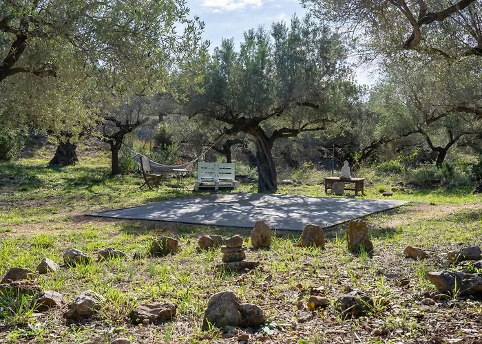Camping Yurta Mongola Delta Del Ebro